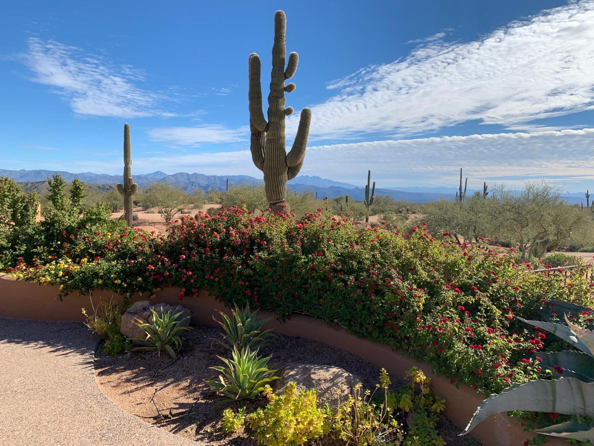 Rio Rancho Verde Two Bedroom Suite Scottsdale Esterno foto